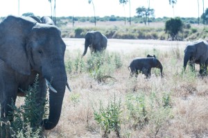 非洲的疫情都有哪些城市/非洲的疫情都有哪些