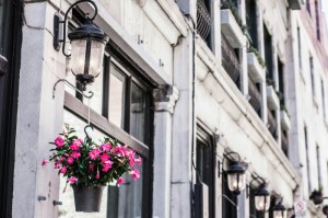 [分享]“红中会馆有挂吗”(原来确实是有挂)