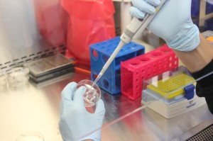 重大通报.“玉海楼大金牙有挂是真的吗”辅助开挂教程