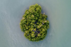 [分析]“天天川南麻将可以开挂吗”原来可以开挂