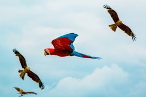 玩家必看“新玉海楼茶苑到底是不是有透视挂吗”(确实是有挂)-知乎