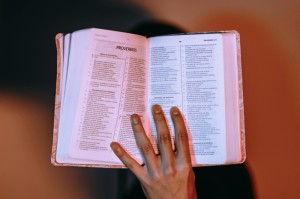 [解答]“新海贝之城真的有挂吗”开挂详细教程