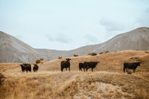 上次疫情是哪年/上次疫情是哪年?