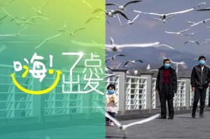 重大数据“喜扣打筒子为什么一直输,可以开挂吗”分享装挂步骤技巧