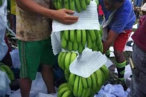 武汉疫情什么时候解封的啊（武汉疫情什么时候解封的啊最新消息）