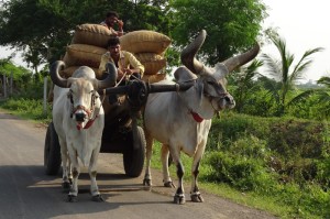 独家解答“微壳字牌辅助神器”［原来真的有挂］