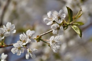 最新疫情24日/疫情最新消息24号
