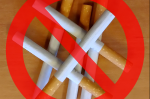 全球疫情死亡人数，数字背后的生命与警示