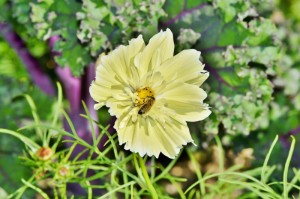 最新消息.“东方娱乐究竟有没有挂”爆光开挂猫腻详情