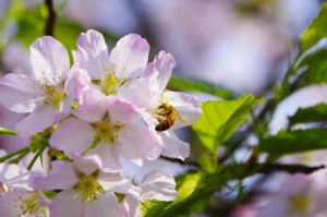 重大通报.“新绍兴麻将有没有挂吗”(玩家翻本必备神器)