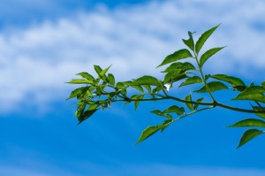 终于明白“新九五大厅怎么开挂”玩家曝光开挂流程