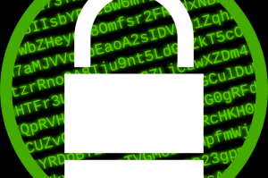 [实测]“新贝壳牛牛有挂吗”开挂详细教程