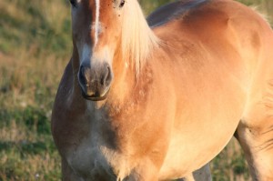 我来教教大家“红豆牛牛透视挂下载”(原来有挂)-知乎