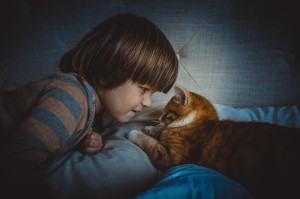 09年疫情是什么病毒啊视频/09年疫情是什么病毒啊视频播放