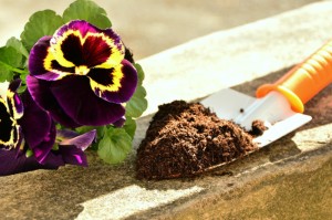 ［攻略科普］“麦穗怎么开挂”［太坑了原来有挂］