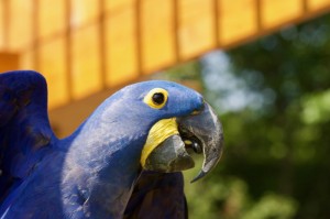 【这次疫情是之前的多少倍,这次疫情是之前的多少倍了】