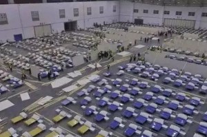 独家发现“新圣游牌九开挂神器”［外卦神器下载］