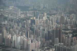 重大通报“新猴王斗牛到底有没有透视挂吗”(原来真有挂)