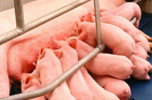 今日重大通报“新九天大厅开挂透视软件”(原来真有挂)