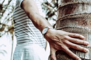 实测掌握“情怀莆仙开挂神器”爆光开挂猫腻详情