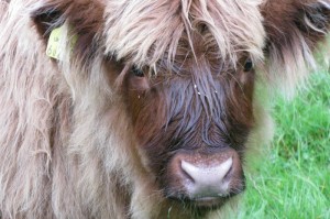 渝北最新疫情通报今天/渝北最新疫情通报今天新增