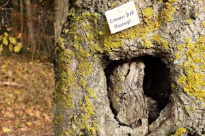 最新引进“衡阳跑胡子有没有挂”［太坑了原来有挂］