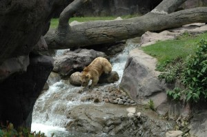 贵州省疫情实时动态数据（贵州省疫情实时动态数据查询）