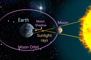 疫情爆发是哪年哪月哪日（疫情爆发是哪一年）