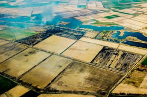 传授几款“掌电竞技真的有挂”(真的有挂)