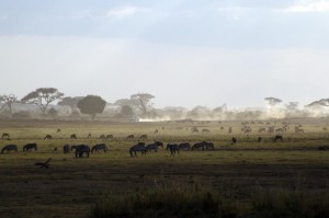 [解答]“皮皮衡阳字牌怎么开挂”(原来确实是有挂)