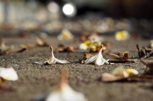 轻松掌握.“友间字牌究竟有挂吗”[开挂辅助教程]