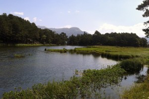 ［玩家实测］“天府棋牌开挂神器”［其实是有挂］