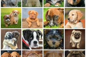 最新疫情世界排行榜图片/最新疫情世界排行榜图片大全