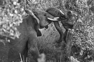 【非洲疫情严重不严重呀/非洲疫情严重不严重呀知乎】