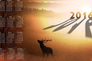 今日重大通报“微信红包有挂吗”［果然有透视挂］