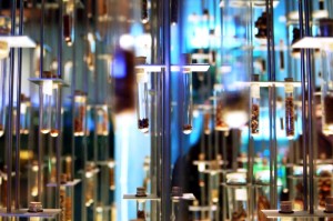 盘点十款“宁波竞技馆有挂没”原来真的有挂