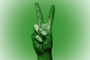 09年疫情是什么病毒引起的原因:09年疫情是什么病毒引起的原因呢